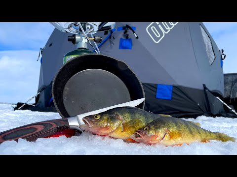 Catch AND Cook! -40 EXTREME Cold! Perch Ice Fishing