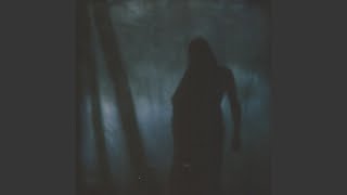 Wanderer des Feuermondes