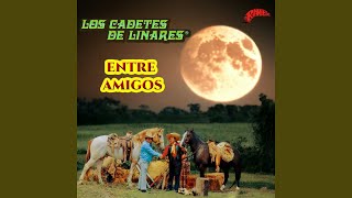 Adios Amigo del Alma