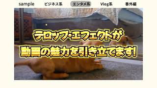 YouTubeサムネイル