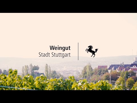 Weingut der Stadt Stuttgart YouTube-Vdeominiatur 7