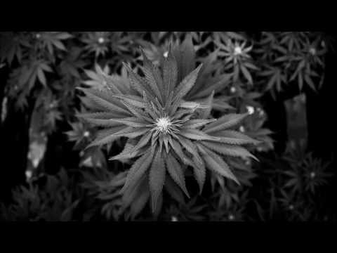 Video thumbnail for Space Out
