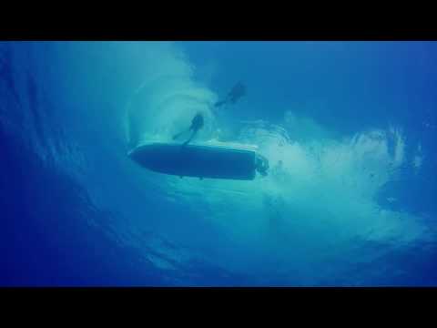 Donald Cowboy Cerrone Dive Cozumel