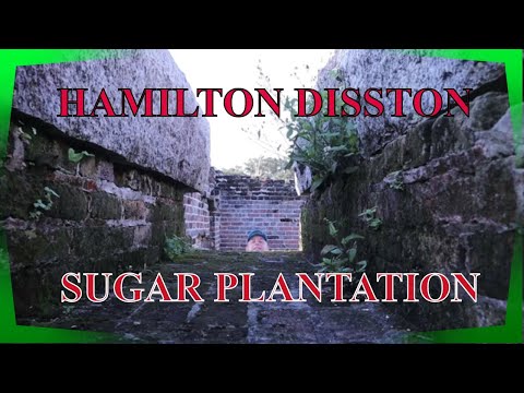 Hamilton Disston Sugar Plantation ABANDONED - St. Cloud, Florida