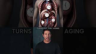This Week in Longevity: Your Organs Are Aging on 3 Different Clocks