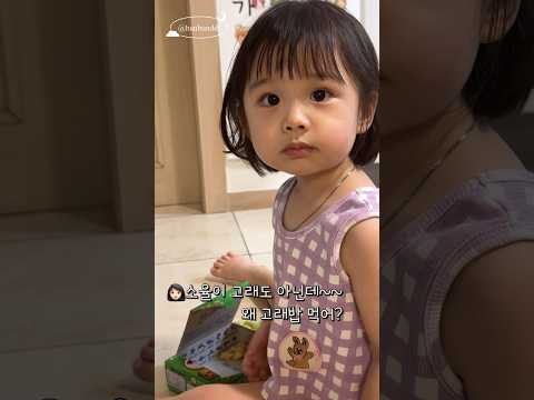 아이콘