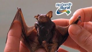 Miniatura do vídeo