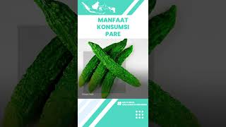 Kaya akan Nutrisi, Manfaat Konsumsi Pare untuk Kesehatan: Meningkatkan Sistem Kekebalan Tubuh