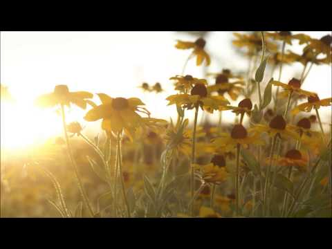 Easton feat. Roxanne Emery - Healing Rain (Bryan Kearney Remix)