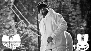 Ghostface KIllah "Starry Winters" ft. Killah Priest (Dir. by Zodiak n Solo)