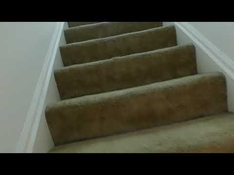118 E Bristol Ln Apt B - Video 2 of 2