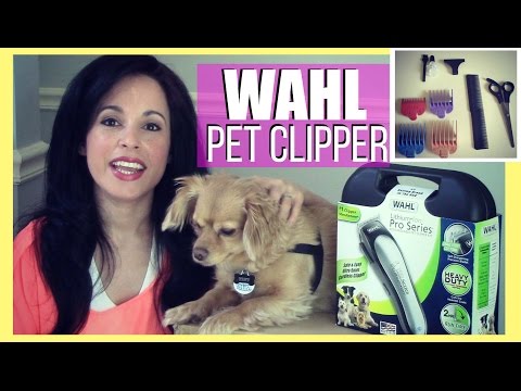 WAHL Lithium Ion Pro Series Pet Clipper Kit || REVIEW & DEMO Chiweenie