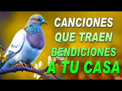 La Canción Católica Mas Hermosa Del Mundo 2023 | Alabanzas Que Bendiciones A Tu Casa