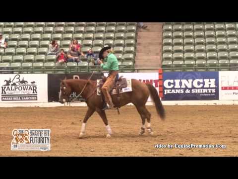 IX Smart Starlight ridden by Liz Younger Badasci  - 2016 NRCHA Snaffle Bit Futurity (NP Bridle)