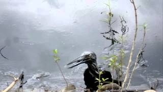 preview picture of video 'Villahermosa, sin agua tras derrame tóxico en ríos'