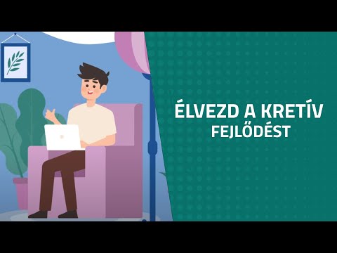 Magyarázó videó példa