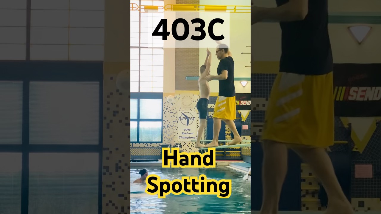 Hand-Spotting 403c