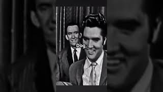 Big Mama Thornton: The Original &#39;Hound Dog&#39; Legend