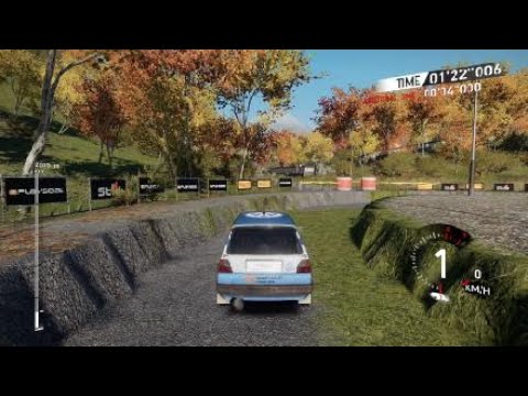 V-Rally 4 glitch