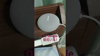 #検証 Google Nest(Google Home)に彼氏いるか聞いてみた結果 #googlenestmini #googlehome