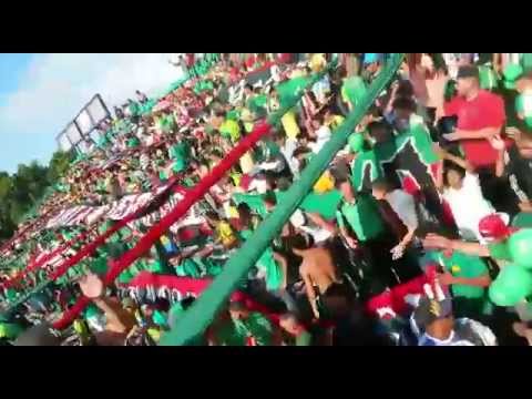 Vamos vamos mi verde Furia Verde