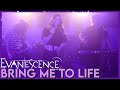 "Bring Me To Life" - Evanescence (Cover by First to Eleven)