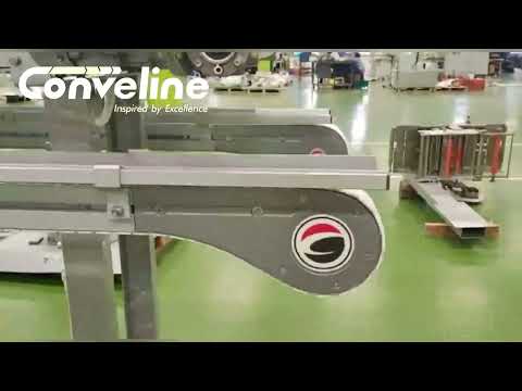 Flexible Chain Conveyor