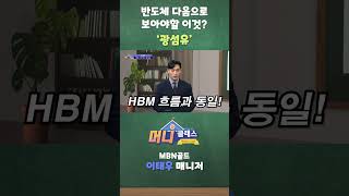반도체 다음으로 보아야할 이것? '광섬유'