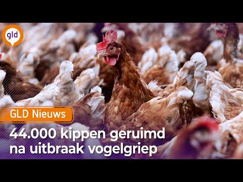 GLD Nieuws 25 januari 2026