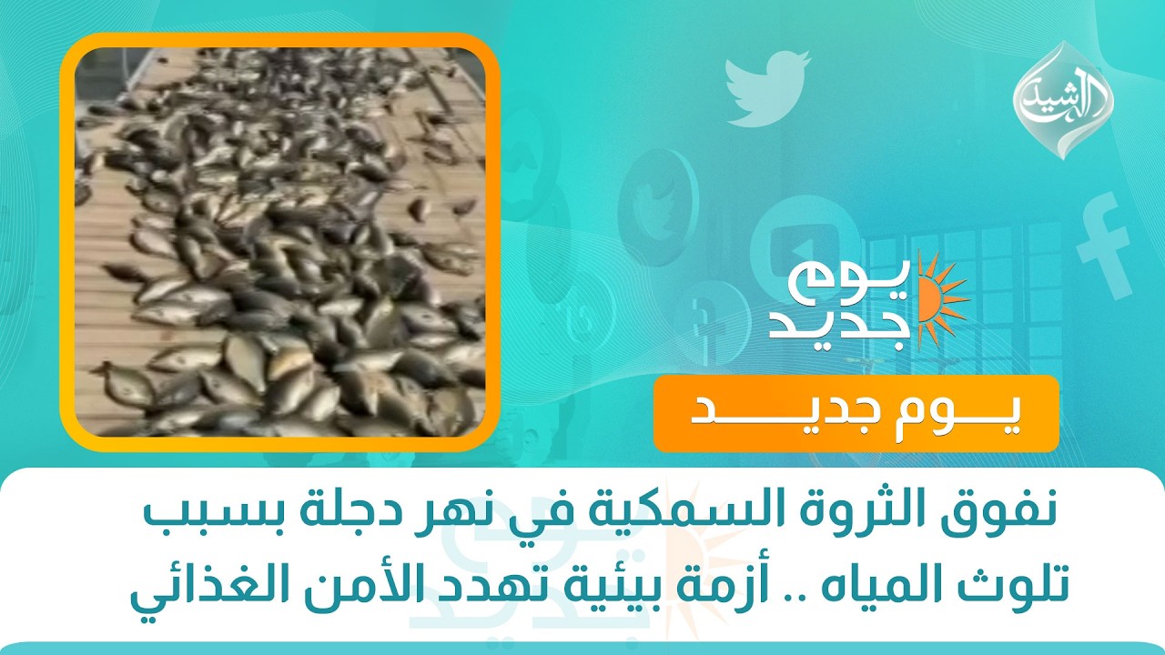 فيديو | نفوق الثروة السمكية في نهر دجلة بسبب تلوث المياه .. أزمة بيئية تهدد الأمن الغذائي