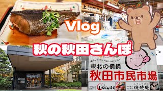 【Vlog】秋の秋田さんぽ！ 秋田市民市場 健康ランド 華のゆ など