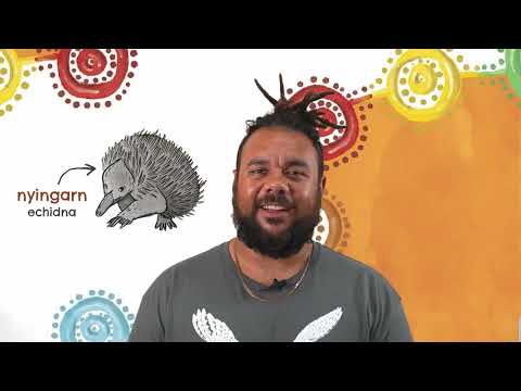 Noongar Pronunciation Guide: Jayden Boundry presents Boodja Barna (Land Creatures)