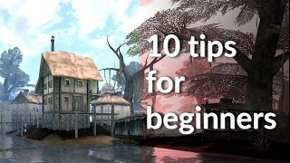 Morrowind Tips for New Players