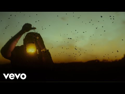 Jah Vinci - Save Me (Official Video) | Special Times Riddim