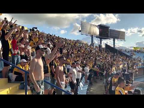 Sou carvoeiro sim senhor! - Avaí 2 x 2 Criciúma