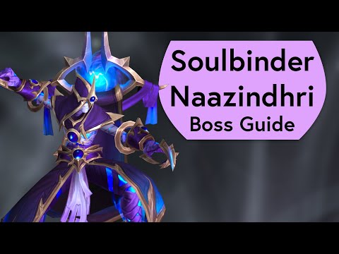 Soulbinder Naazindhri Raid Guide - Normal and Heroic Manaforge Omega Guide