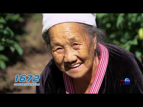 Ban Hmong Mae Sa Mai