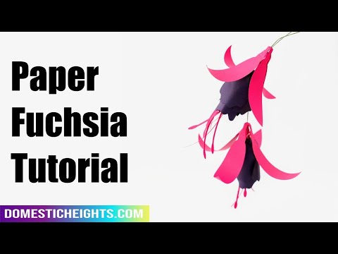 Paper Fuchsia Tutorial