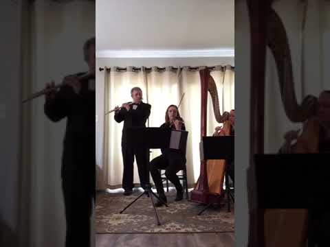 Promotional video thumbnail 2 for City Winds Flute and Harp  Duo