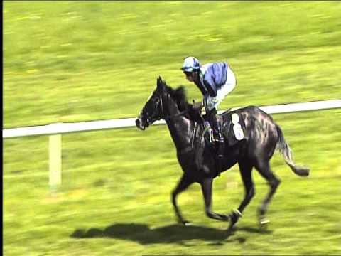 Galopprennbahn Dresden - 07.05.2016 - 2.Rennen