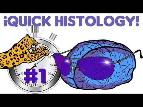 Quick Histology #1: Tissue Mnemonics
