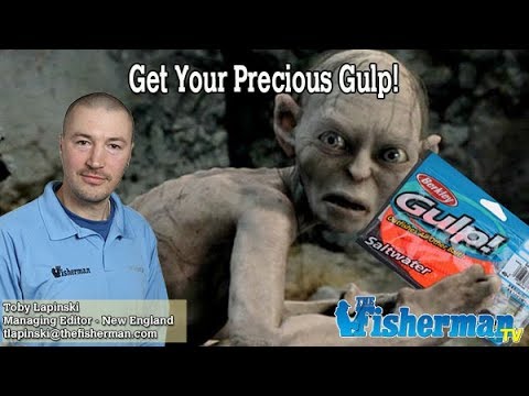 August 30, 2018 New England Fishing Report with Toby Lapinski