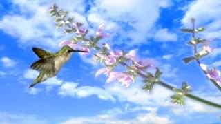 Beautiful World - Emmanuel Dagher