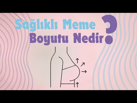 Sağlıklı Meme Boyutu Nedir?