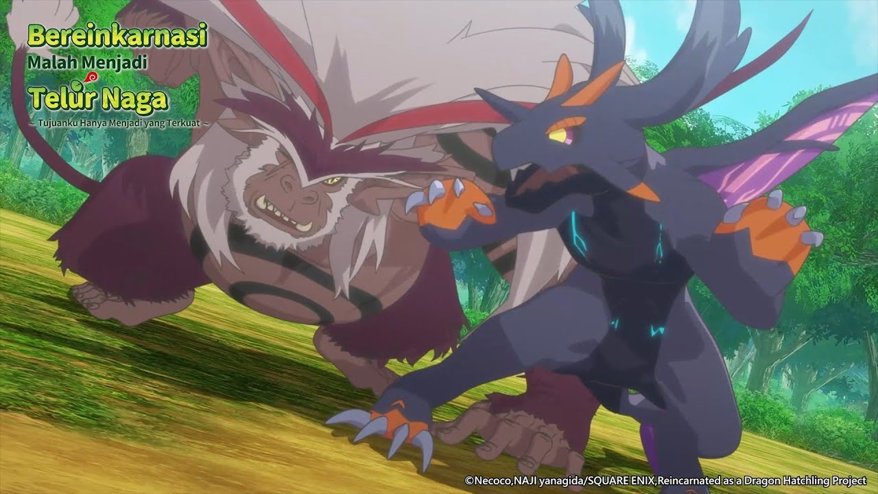 #telurnaga #dragontama #highlight pertarungan antara naga dan monyet