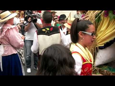 Romeria LOS REALEJOS-2010-CIMG0624.MOV