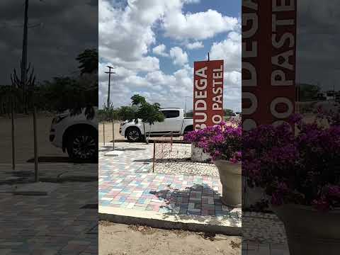 Tangará tem o melhor pastel do Rio grande do Norte