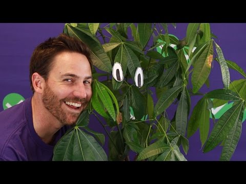 GMAT Tuesday: Last Minute Tips Before Test Day