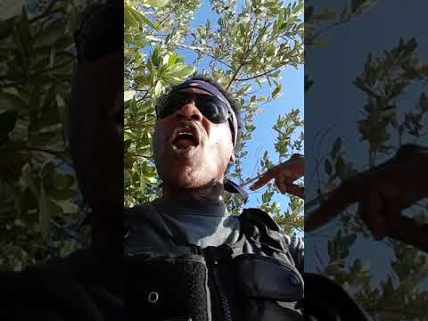 THY LOVE JAH RAS TAFARI TUTANKAMON AMON