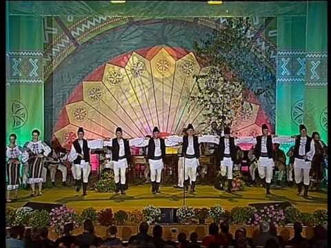 Albesteanu 2010 - ''Tara Vrancei'' - recital